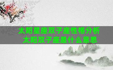 太阳星座双子座性格分析 太阳双子座是什么意思
